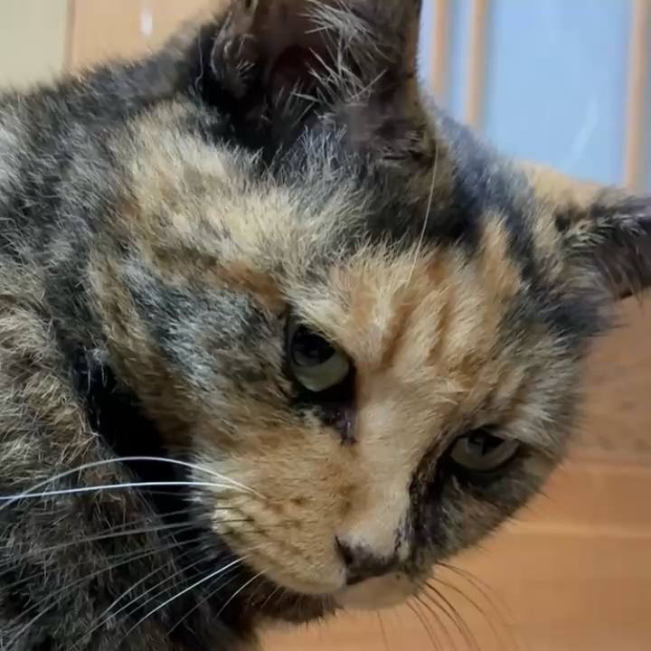 54351cf7 ffa1 411d a5e3 2b31f2f2703b 1757125912029