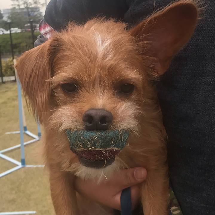 5435200b f18b 4b9a 8f53 cd9e8ffea1c2 1573619152284