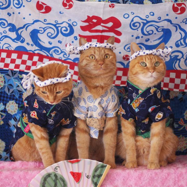 54356590 4241 42c6 a110 713d5941d07c 1659685557239