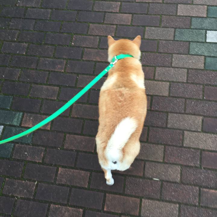 54358744 a709 4caa a145 1ff3b7a1cd2e 1603427719950