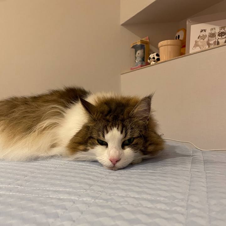 5436340c 621e 4bb5 82bb a42fe638f138 1661867931537