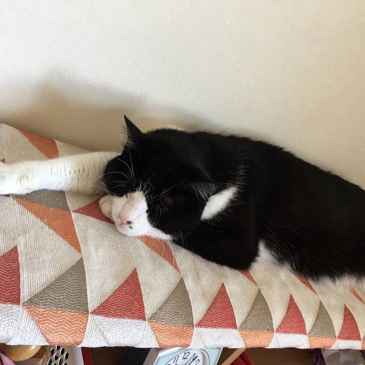 5436544a f816 4365 8a61 a434001f56f9 1526264606046