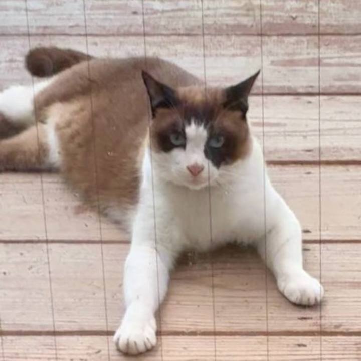 54365578 5b62 4f30 be56 b07e56050943 1749806799515