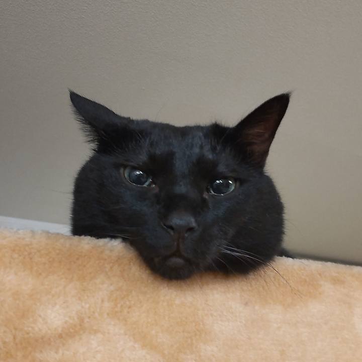 54365c59 1108 4146 96d3 2d7f85c989c4 1761146221463