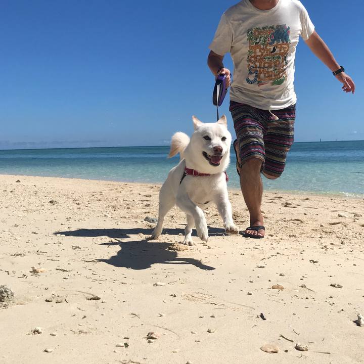 54366184 7e90 4ec1 a98e 4edf18c741a9 1537494631099