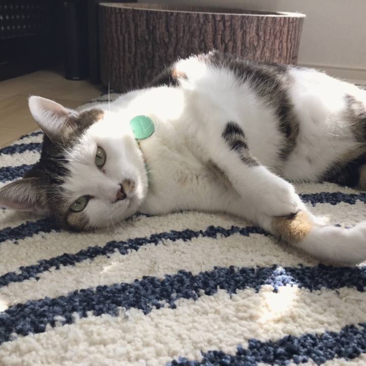 54366ab0 f1e2 48e0 8fa0 9c1d9290e190 1547607883319