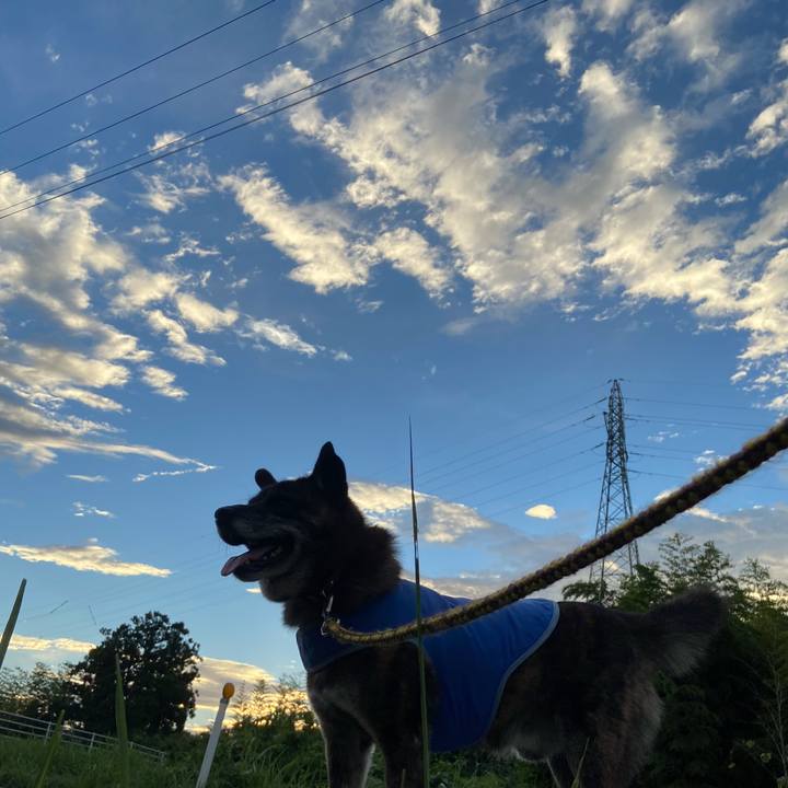 54367473 8ce6 4598 a2d9 e11d5edf1c32 1599471046749