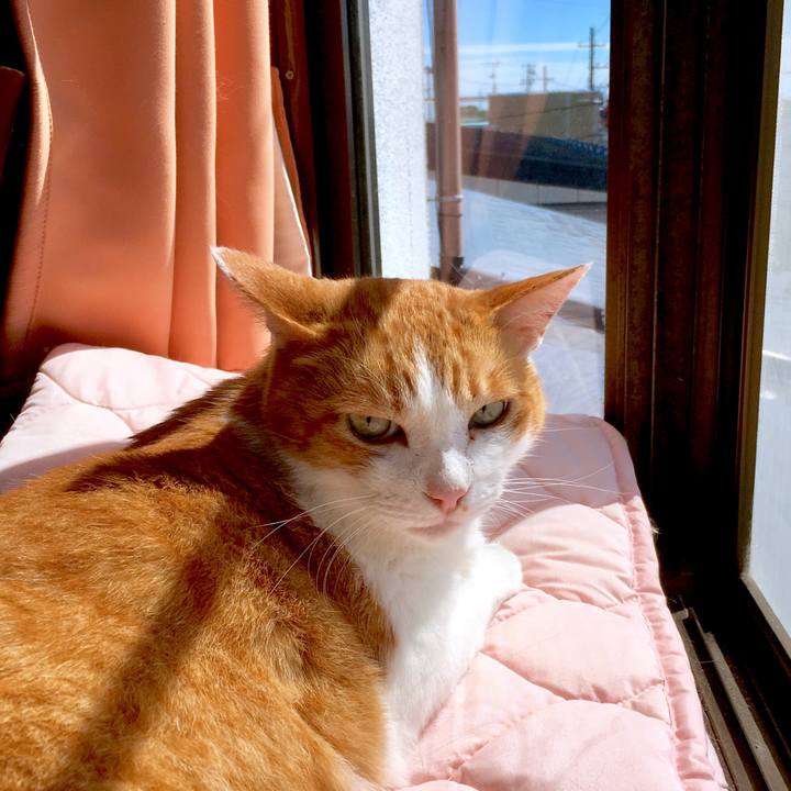 543685ed 462a 4737 ae2b 1313975342c8 1569812222715