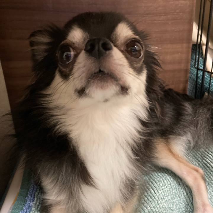 54369f7e ce84 4137 a588 ef15e9fabbcc 1663507784130