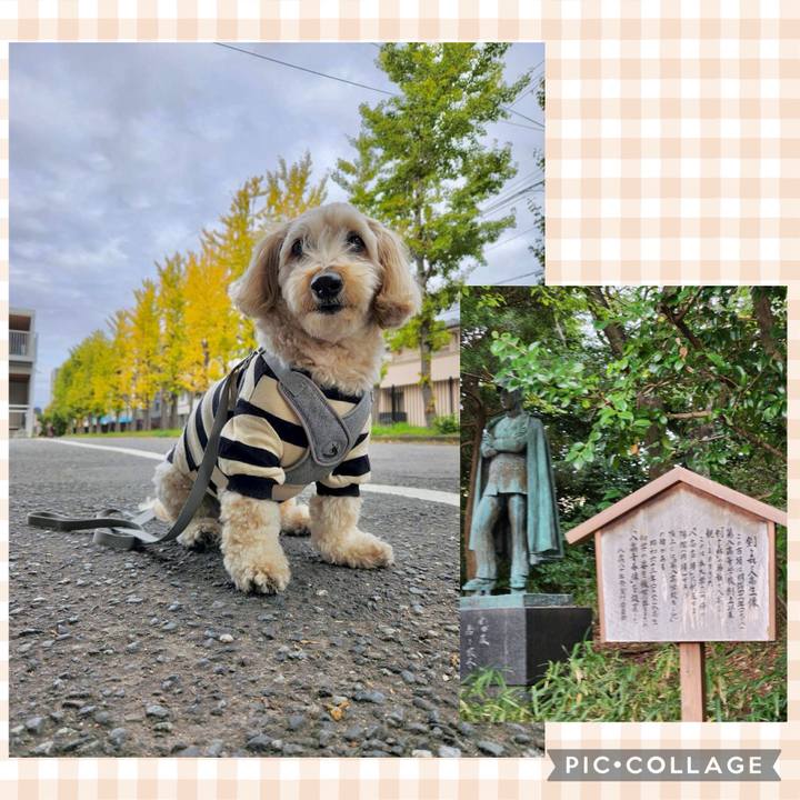 5436a184 5848 4e3b a9bc de7e328f0e0f 1763011178089