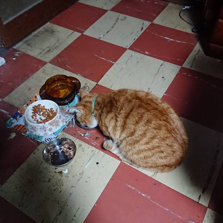 5436bd8e 8657 4048 afc8 f19ed59bc33e 1582574056099