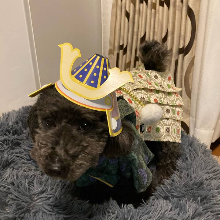 5436c6bb fe88 4737 86d2 1c3474b5696c 1651752043754