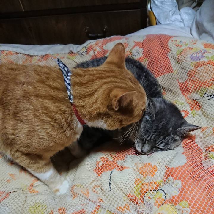 54373cef f867 4c3b a57a 74f456a3ab38 1571659630950