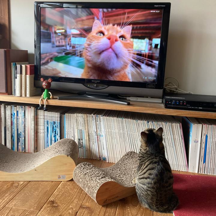 543744ba 92d8 4a8c 9652 56bfce7ee6c7 1674014411554