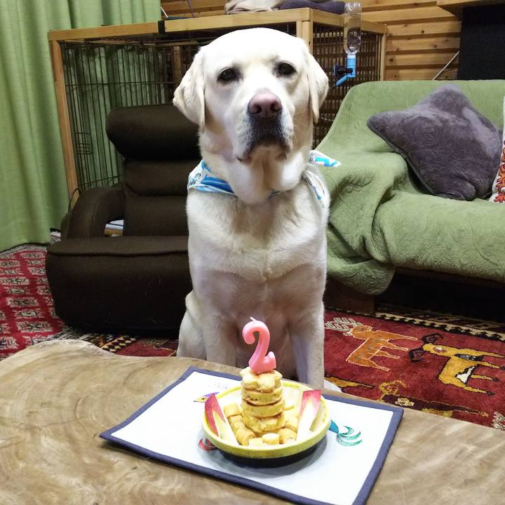 54377388 b568 410c ae24 96d9392198ab 1518338155761