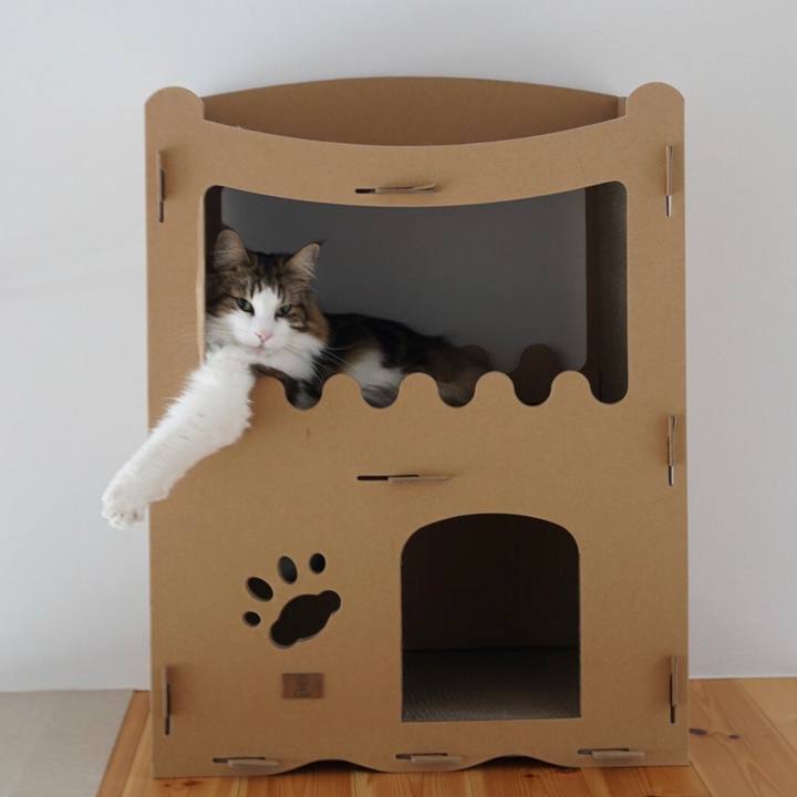 54377f52 d998 4764 9eb6 3d7c8e6e937f 1578705653609