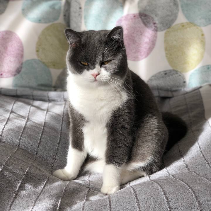 5437a172 8cbc 4820 bdfe 215c457ff132 1543751276775