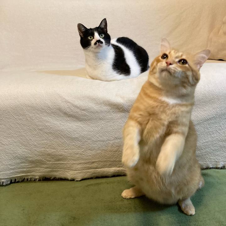 5438125b df4f 48b0 ae35 a537f6f08e8b 1763039341454