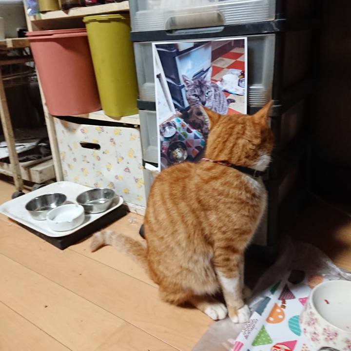 54381691 e96a 4771 ab4b 5442cb1cac27 1601153479634