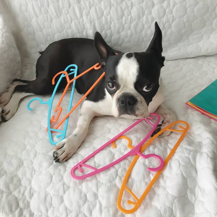 54385791 a902 4996 90aa 904ab2beb413 1559009938590