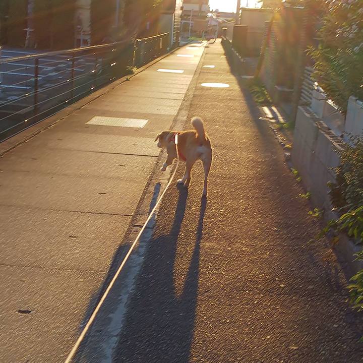 54387bcd d60f 4a39 981b 53628d05dc29 1552746349705