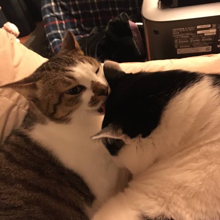 54387d56 d039 4f06 a148 d8435eb4e8b9 1513669191556