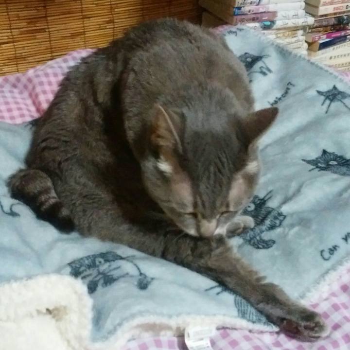 543886b7 6c42 44be a711 5bdbc6352574 1520418436239