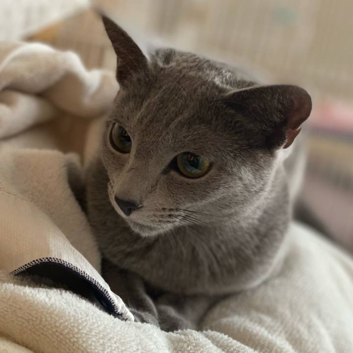 5438a7df 7b6d 4b09 996a 8b3330f952f8 1611372169013