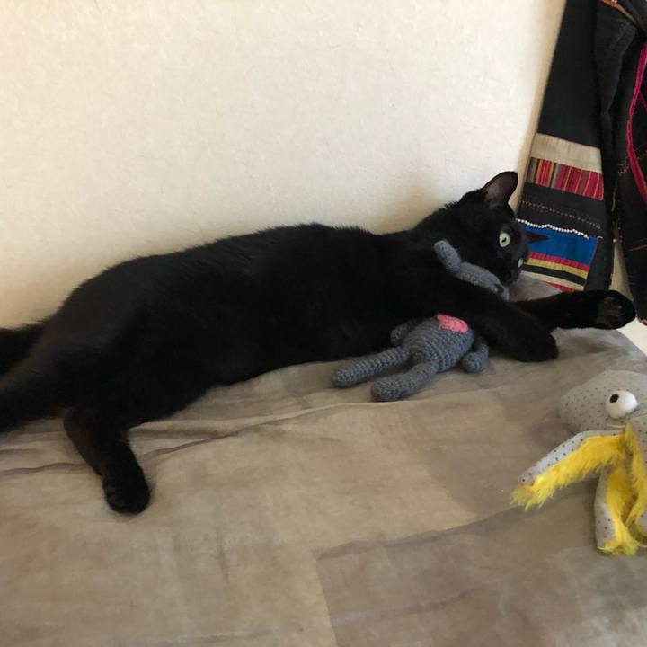 543917de 070e 462b 9d55 aa1f069e148f 1662797429625