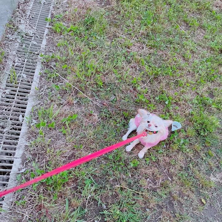 543960d5 c436 4045 8453 2bf8204f75c2 1653311887095