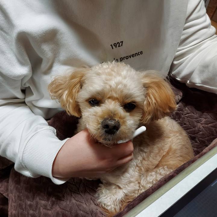 543965d5 7b0a 4e48 a8e2 7d390a92aa87 1637998709129