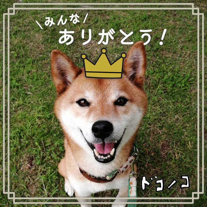 54396855 2c86 4386 bb92 d974b2c1e045 1623814726803