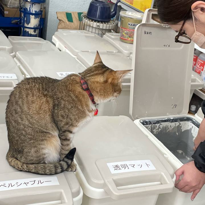 5439837b 55b8 4293 ba26 67f5655b4eeb 1732362885303