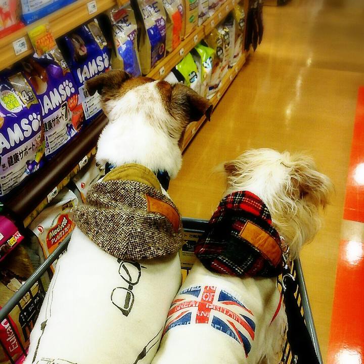 5439a46a 6cc9 4712 8ac5 868a3575d235 1512294741456