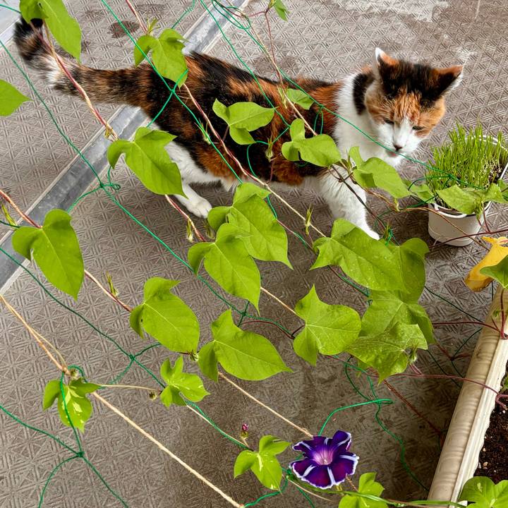 5439a98a ac0f 4bc2 bec4 5eb552b575e8 1719532430226