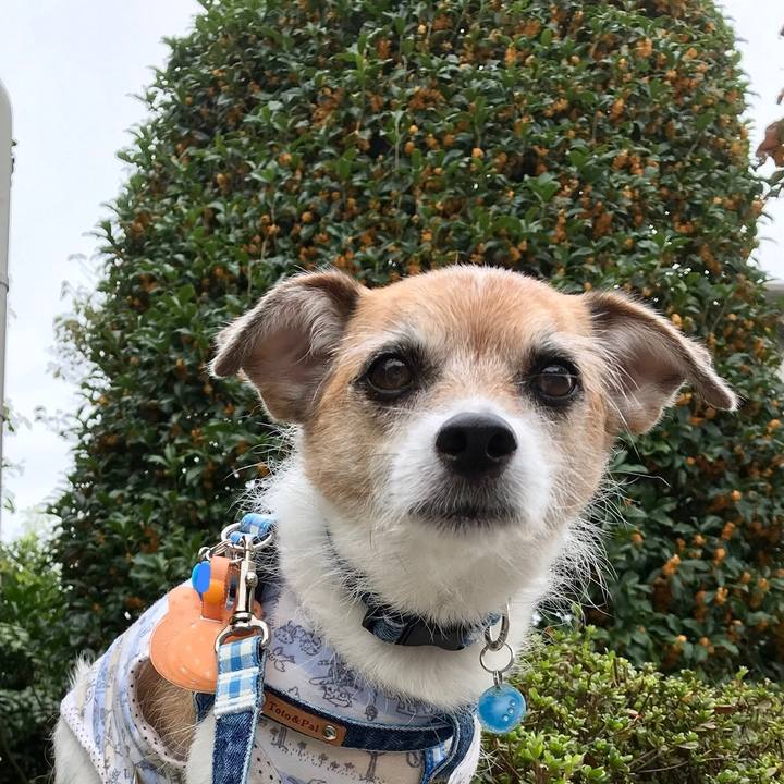 5439b2b7 130b 4423 8a79 199023c72f8c 1601871021075