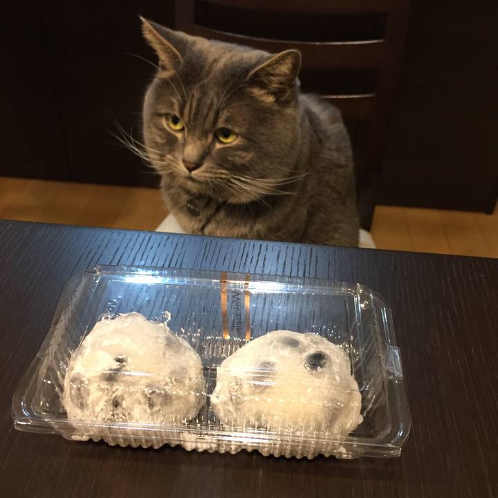 5439c8b7 f4a3 43da 9803 747c37b89422 1516360826945