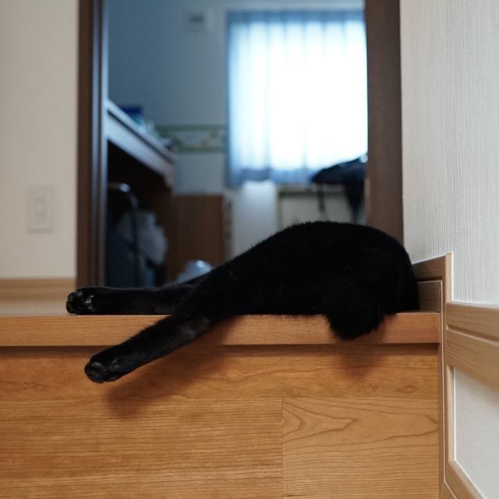 5439d702 fe8b 44f8 a495 13ca95f96651 1559865526097