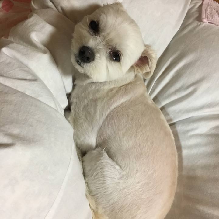 5439f79a f696 4d2e 97dc 7e6140d65d14 1524650717653