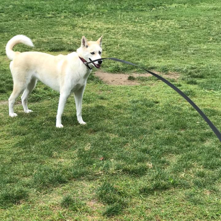 5439fce1 bceb 4823 a7fc 4e18ce7f8a6c 1530693301313