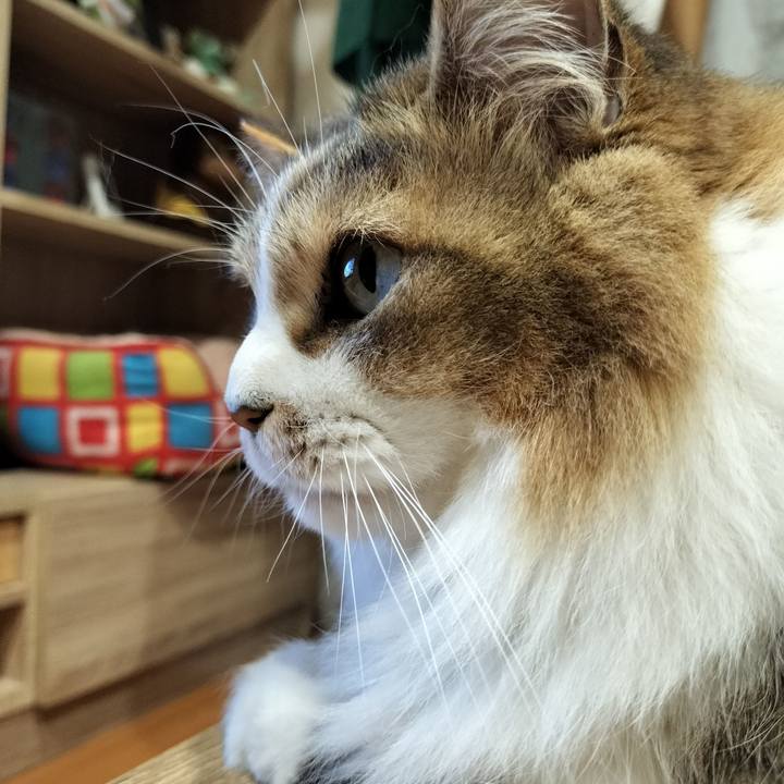 543a1f7a ec64 43a4 a30f c943ee5cdb79 1764580982737