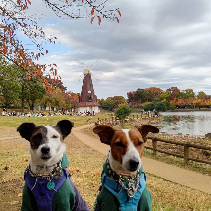 543a3d47 c363 43de 98cc b97c67306e18 1667616948697