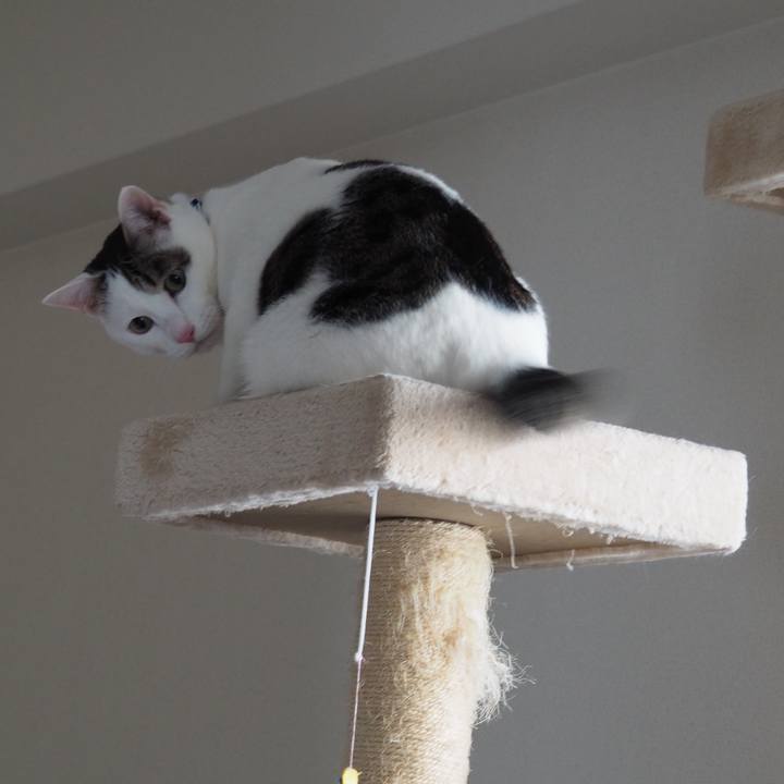 543a4afd 5c72 4cc4 b76b 0a69bc514743 1586441757401