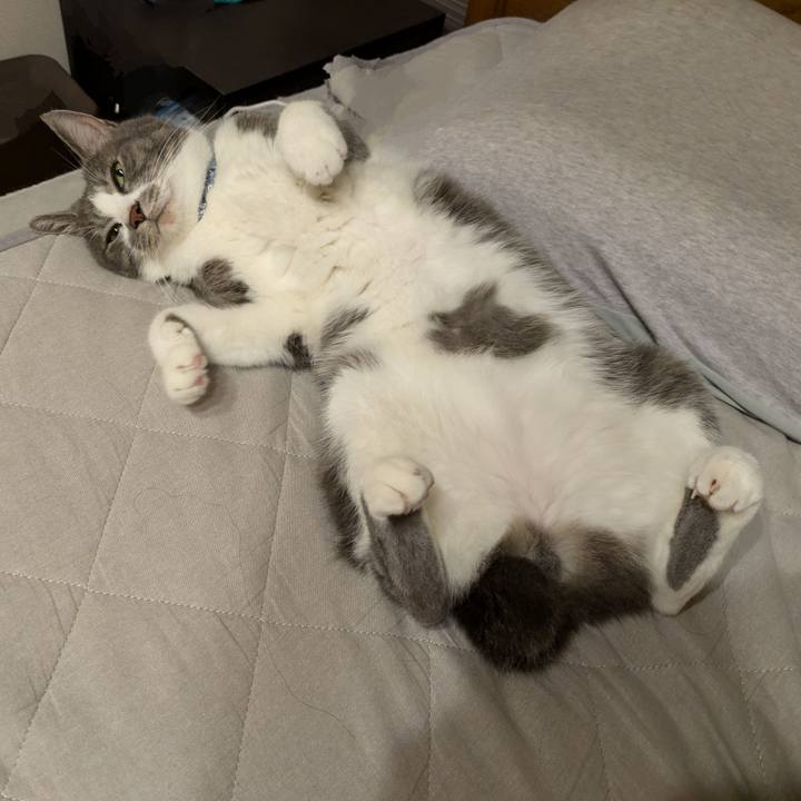 543a4d6f 6164 42d6 885f 874d78b7bd9f 1725543003926