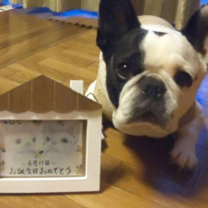 543a90f9 d575 4464 9707 2c61bcb8369c 1656258175811