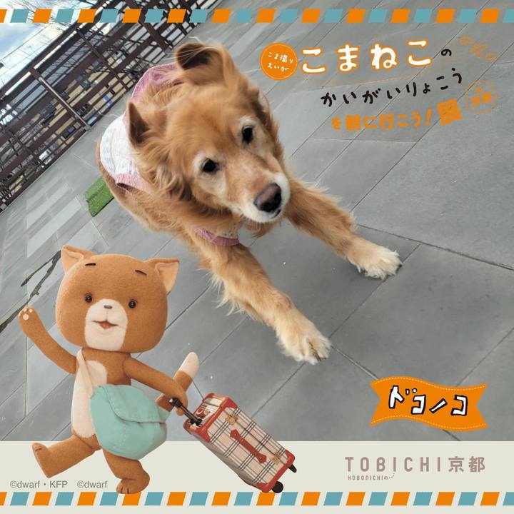 543a95e4 2479 4ec4 be8b b1f2c036ef21 1740442839977