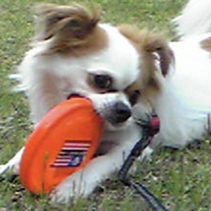 543ab480 102e 42eb 88f8 3bd68c1acbd2 1698673335834