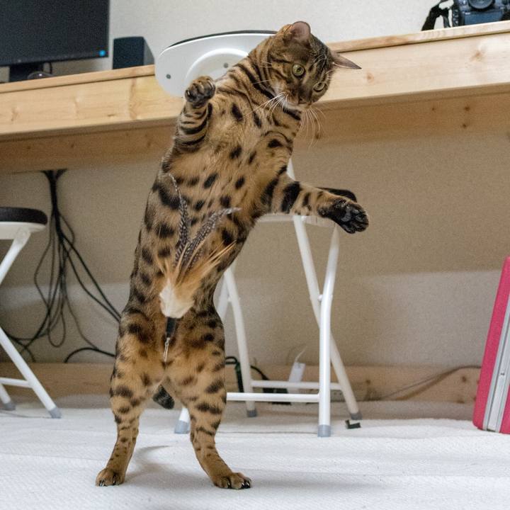 543abc95 2065 41c1 ac06 c897895b321b 1518605769152