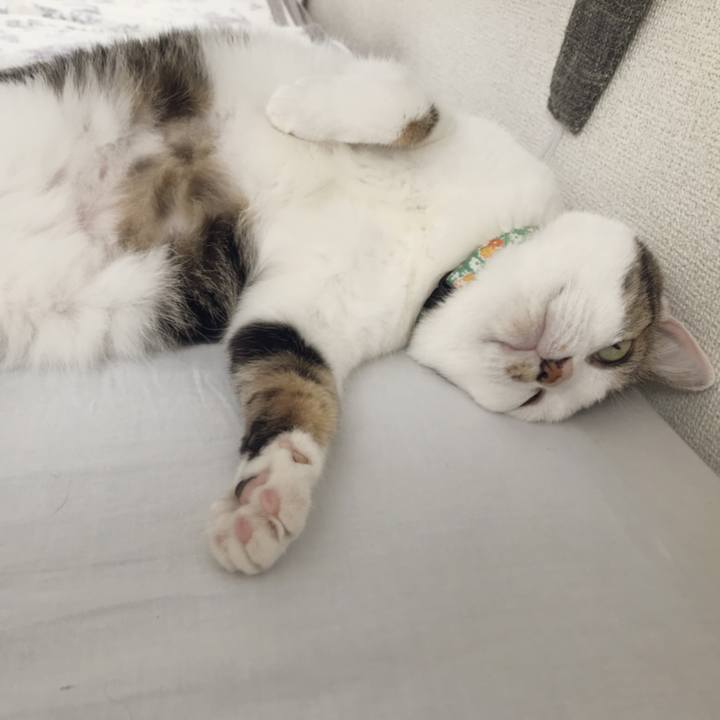 543ac221 b069 4655 a439 eff352c4e316 1562112661327