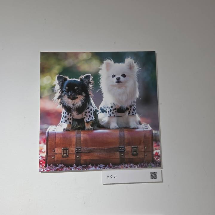 543b0540 5940 4a38 81e1 1f14d573981c 1762141425684